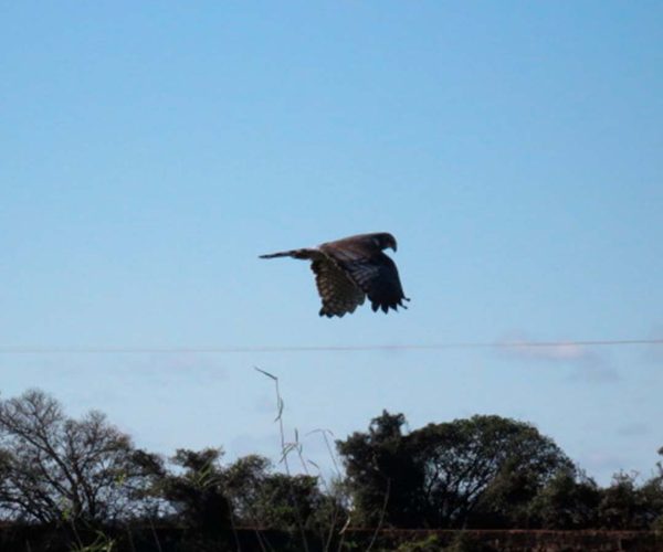 Champaquí Adventure - Esteros del Iberá - 5