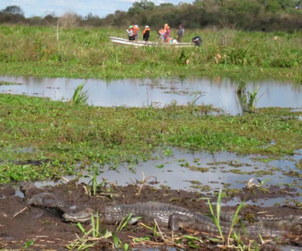 Champaquí Adventure - Esteros del Iberá - 7